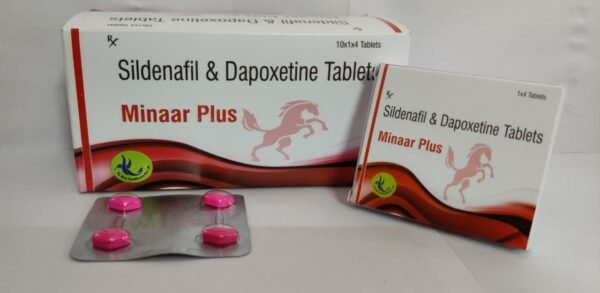 MINAAR-PLUS